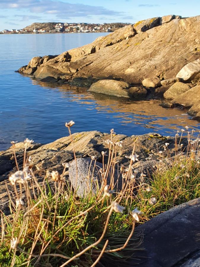 Skaergardsidyll Pa Bjoerkoe Med Gangavstand Till Havet Skarvik Exteriér fotografie